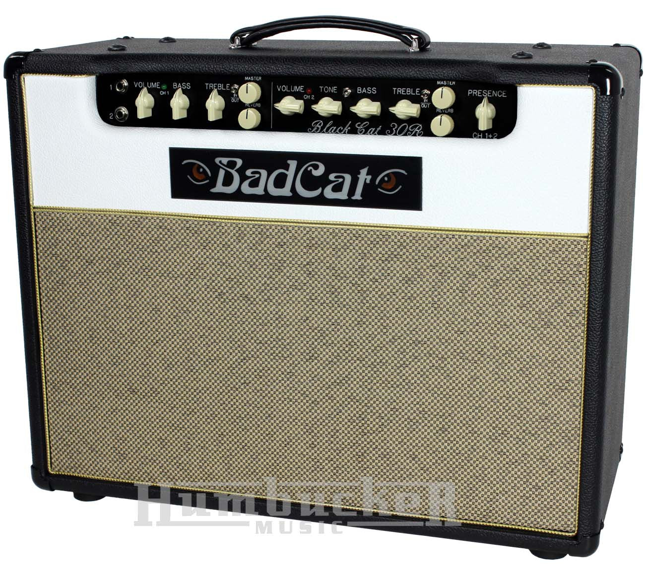 BadCat Hotcat 30R ハードケース付き！ - ギターアンプ